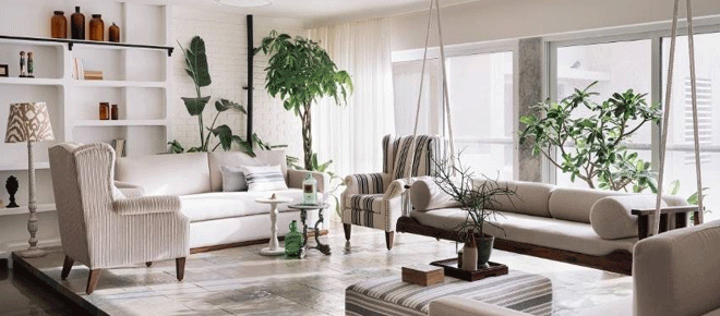 10 Ways to Incorporate Plants into Your Home Decor