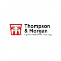 Thompson And Morgan